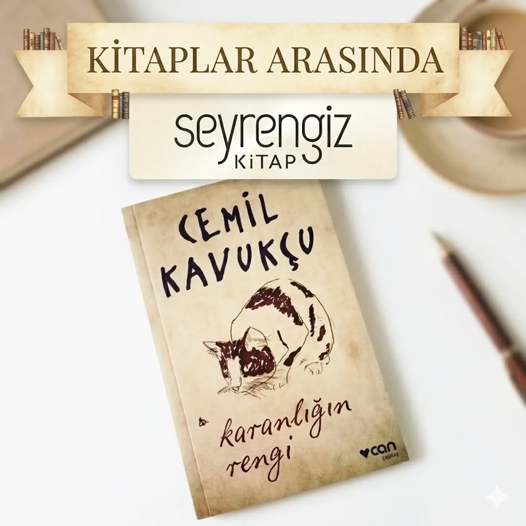 Karanlığın Rengi - Cemil Kavukçu